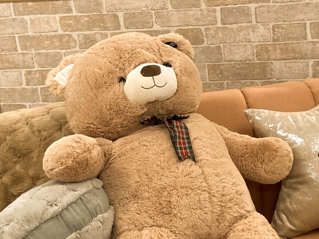 22893344 m 大きなぬいぐるみの自治体での捨て方