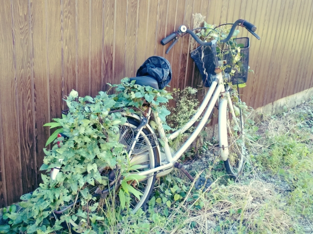 処分される放置自転車