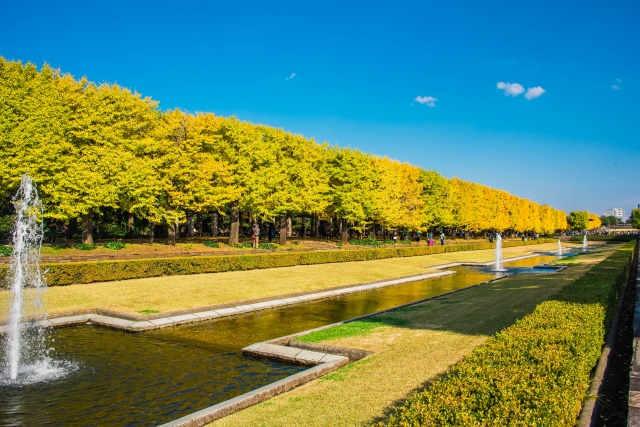 立川市昭和記念公園 おすすめ業者